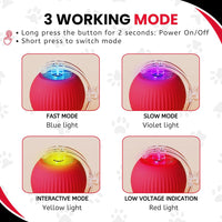 Automatic Pet Teaser Ball