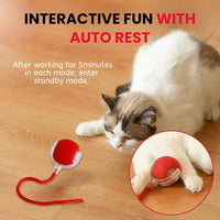 Automatic Pet Teaser Ball
