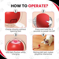 Automatic Pet Teaser Ball